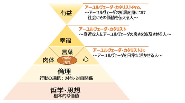 カタリストコース図